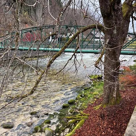 Apartamento Hakuna Matata Mit Gartenanteil Und Bademoeglichkeit Im Fluss Bad Aussee