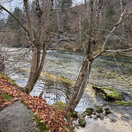 Hakuna Matata Mit Gartenanteil Und Bademoeglichkeit Im Fluss Apartamento