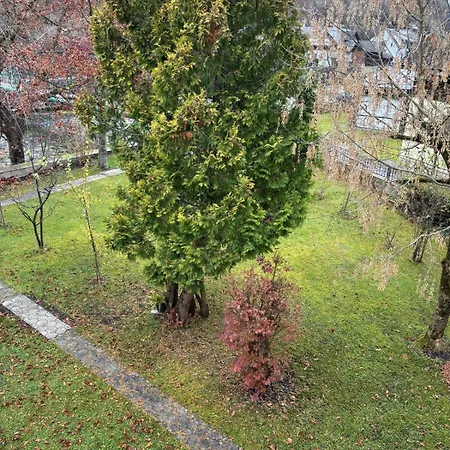 Hakuna Matata Mit Gartenanteil Und Bademoeglichkeit Im Fluss