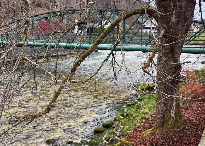 Apartamento Hakuna Matata Mit Gartenanteil Und Bademoeglichkeit Im Fluss Bad Aussee