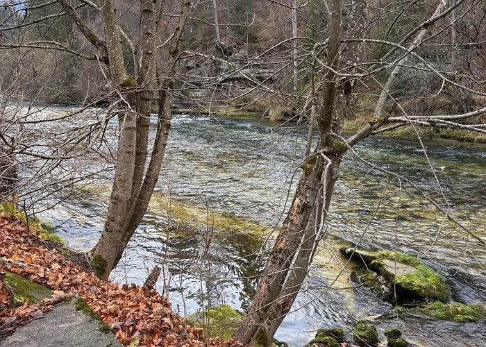 Hakuna Matata Mit Gartenanteil Und Bademoeglichkeit Im Fluss Apartamento