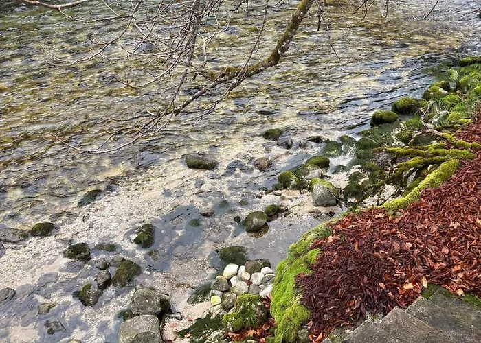 Apartamento Hakuna Matata Mit Gartenanteil Und Bademoeglichkeit Im Fluss