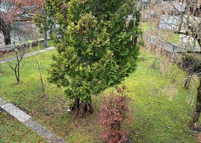 Hakuna Matata Mit Gartenanteil Und Bademoeglichkeit Im Fluss