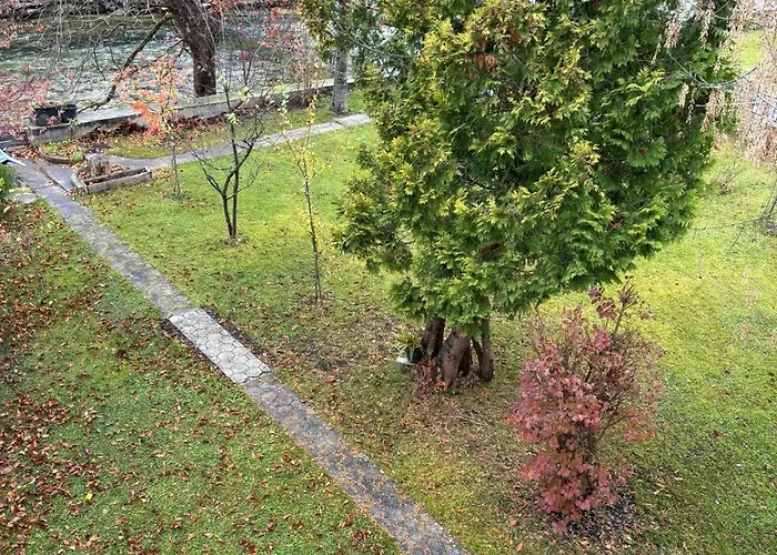 Hakuna Matata Mit Gartenanteil Und Bademoeglichkeit Im Fluss Apartamento *